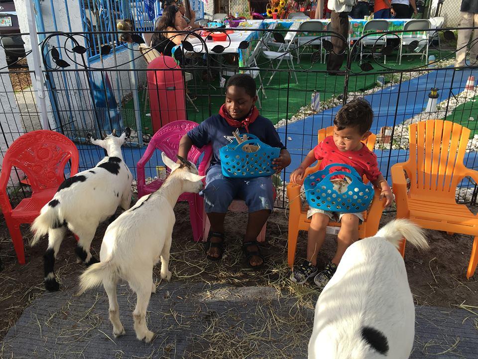 fort-lauderdale-petting-zoo-party-rental-bouncehousebroward